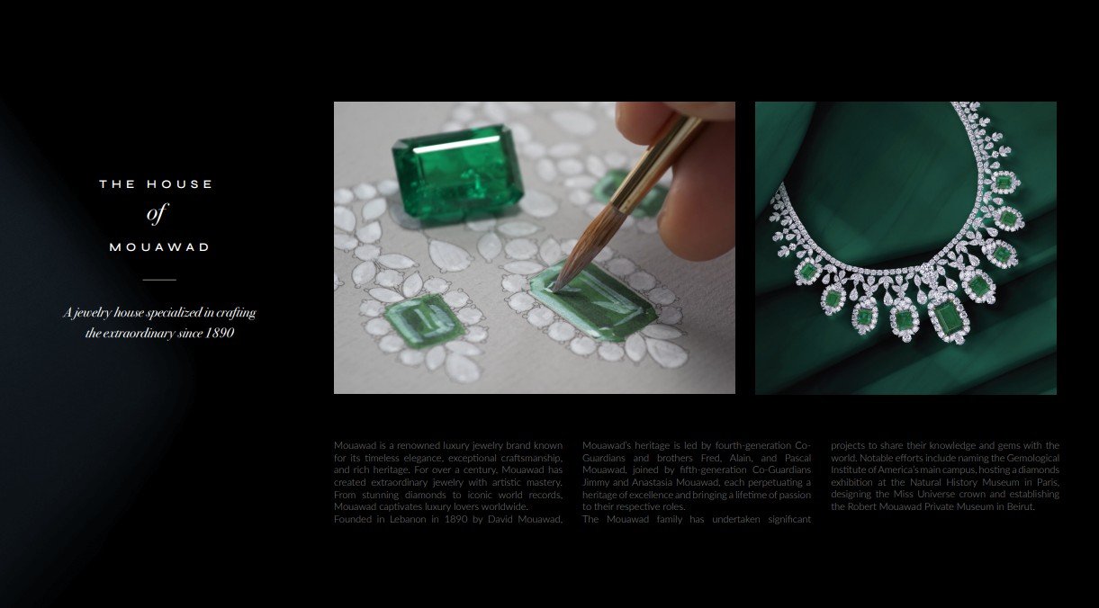 صورة مشروع نيبتون 2